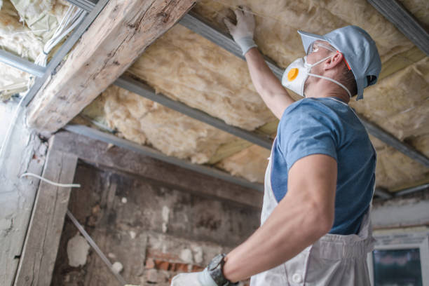 Best Cellulose Insulation  in Diboll, TX