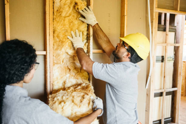 Best Local Insulation Services  in Diboll, TX